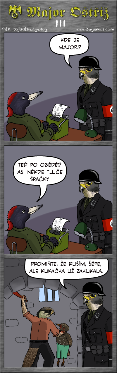 Operace Ibis